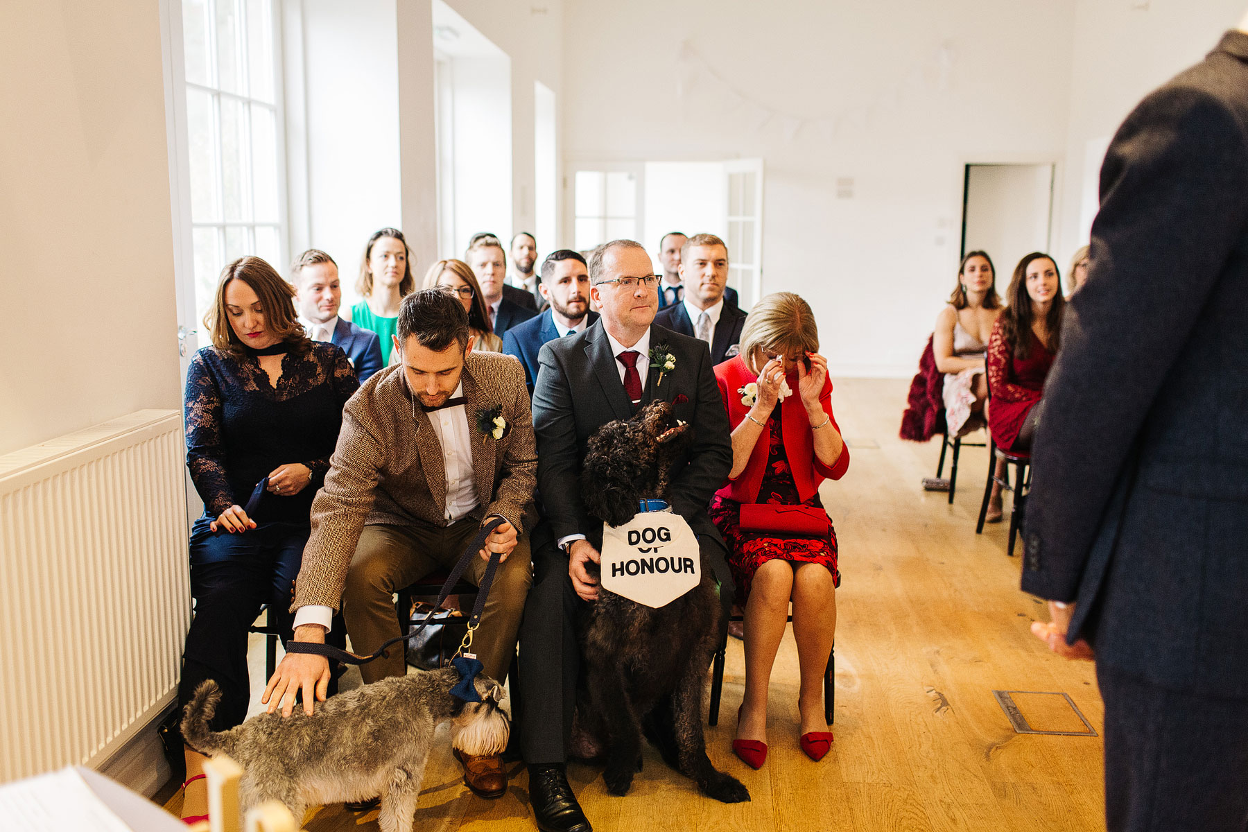 dog of honour at a wedding