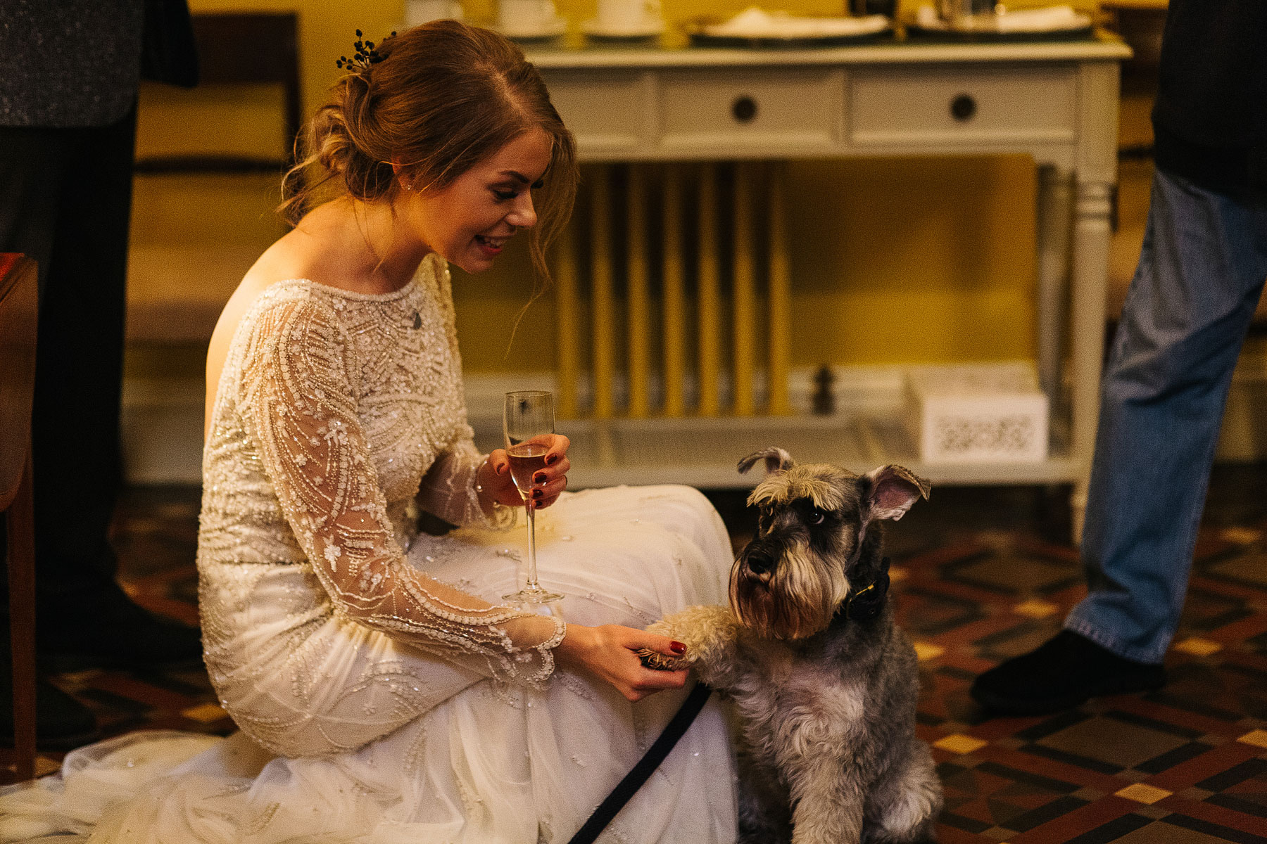 dogs at weddings in the uk