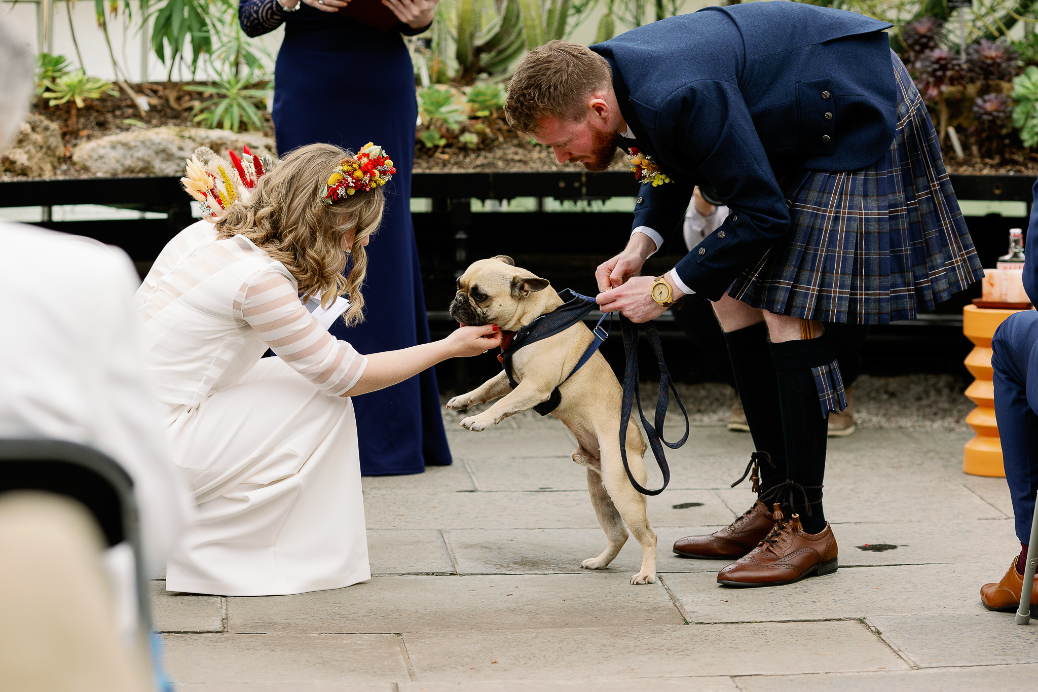 Dogs at Weddings 
