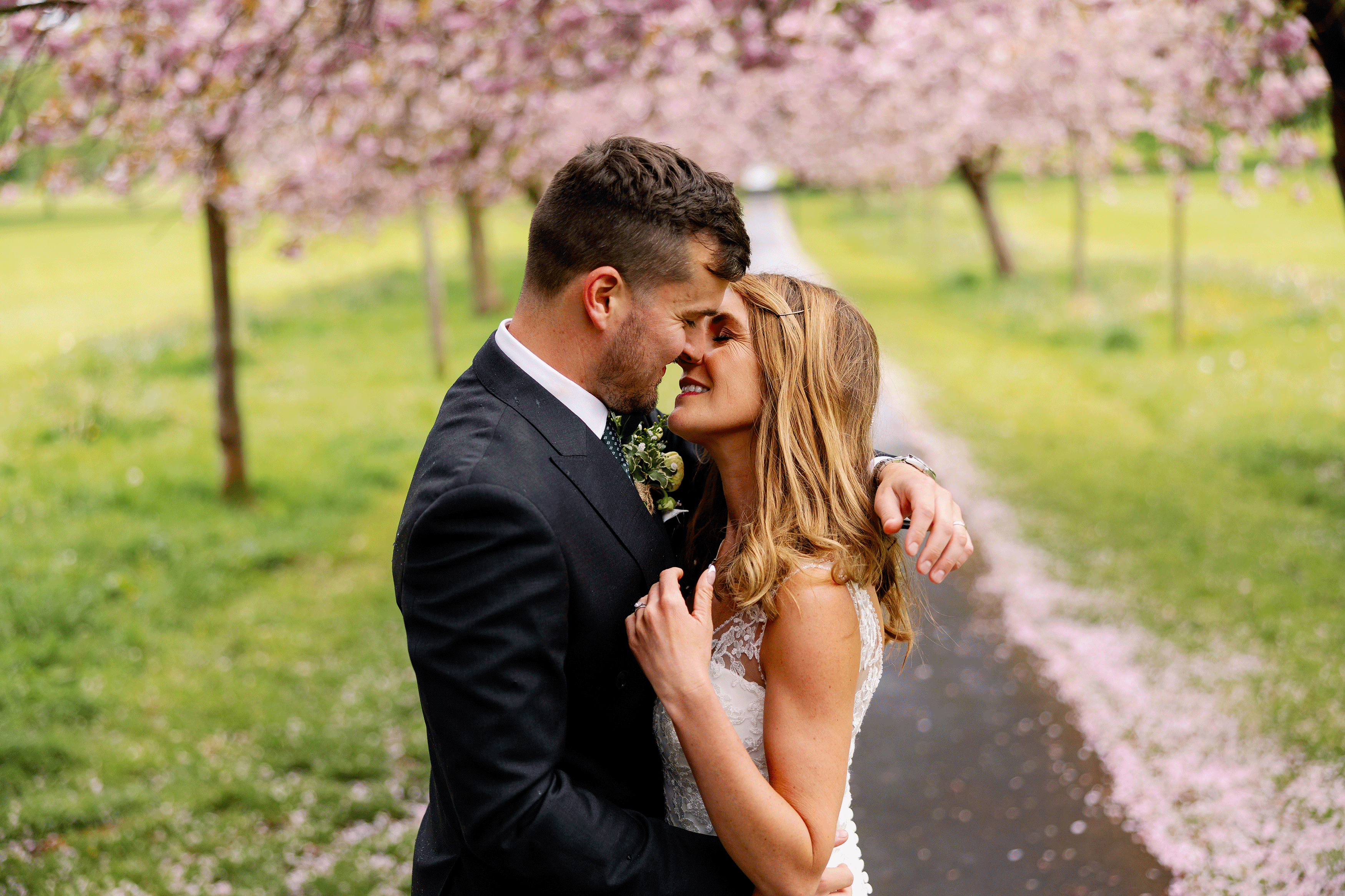 Couple kissing under cherry blossom trees in harrogate.